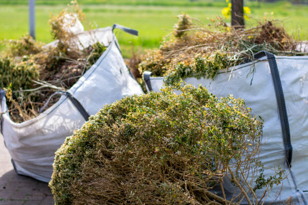 Best Moving and Downsizing Cleanouts  in Talahi Island, GA